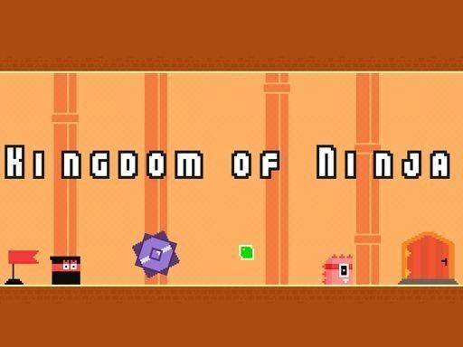 Kingdom of Ninja Adventure Game