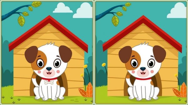 Spot 5 Differences - Find The Difference Puzzle Game