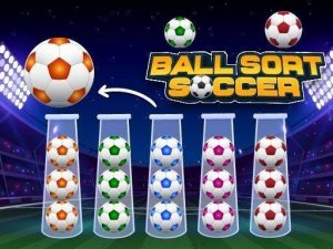 Soccer Ball Sort Logic Puzzle