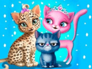 Cat Grooming Salon Game