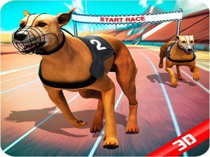Canine Speed Racing Arcade