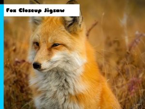 Fox Jigsaw Puzzle Game