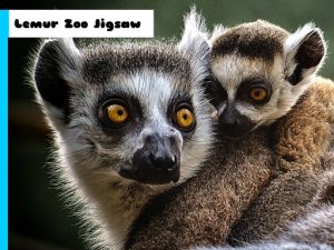 Lemur Zoo Jigsaw Puzzle