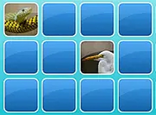Zoo Match Memory Puzzle Game
